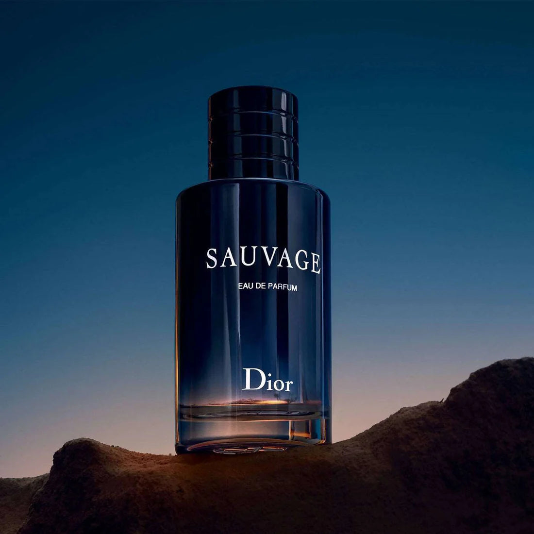 Dior Sauvage Perfume EDP For Men 100ml